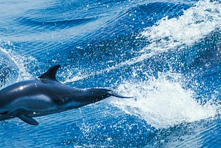 권위없이 팀을 이끌 수 있는 비법