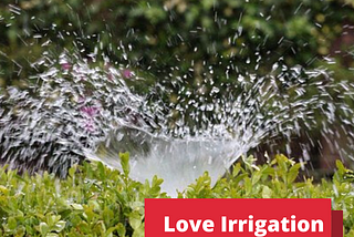 Why You Should Hire Love Irrigation For Your Irrigation Needs?