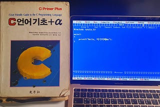 고대 유물을 찾아서: 「C언어 기초+α」를 다시 읽고