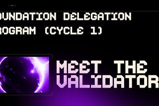 The Foundation Delegation Program Cycle 1: Introducing the Validators