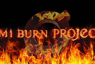 OMI Burn Project