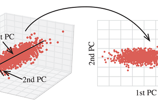 Principal Component Analysis in Practice