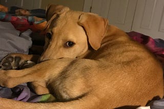 Negative Emotions Are Okay, Too