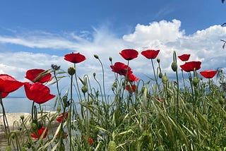 Albania, I’m leaving. It’s not you, it’s me… well, it’s a little bit you.