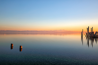 Appreciating The Sound Of Silence
