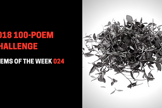 Poems Of The Week 024: I Smashed The Flowers On The Footpath