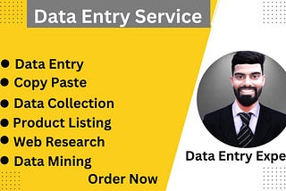 I will do data entry copy paste data mining web research and excel data entry jobs