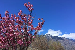 Positively Pretty in Pink