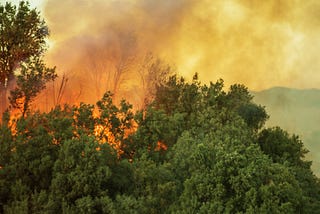 Wildfires on the Rise: