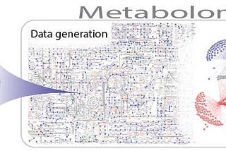 Part I: Everything You Need to Know About Metabolomics Research