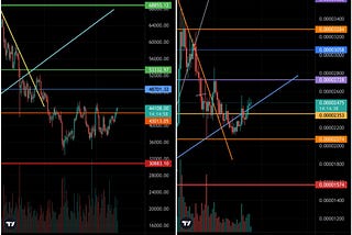 Bitcoin Cracks 44k, SHIB Cracks .000025, Are We There Yet?