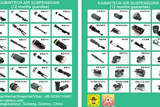 Kaibintech Air Suspension(Airmatic Strut, air spring), compressor pump and repair kits for luxury…