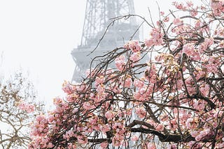 Parisian Springtime Elegance: May Weather & Simple Disney Transfers 
May is a great season to visit…