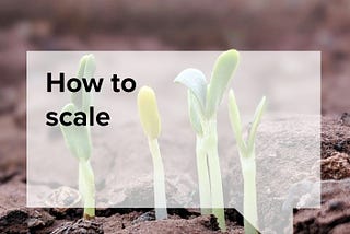 Green shoots growing through the ground with a semi transparent speech bubble overlaid with the words ‘How to scale’