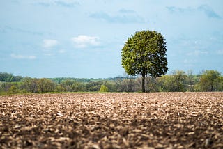 SDG 15 — Life on Land: Preserving soil health for a better food future