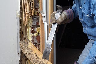 Termite Inspection In McKinney, TX: What An Inspector Looks For