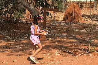 Freedom with Limits — Montessori & Neuroscience