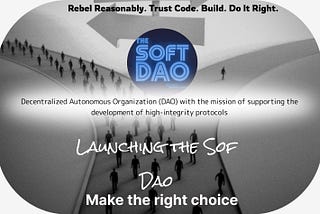 Soft DAO launch and analysis !
