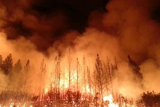 Further Possible Explanations for the California Forest Fires
