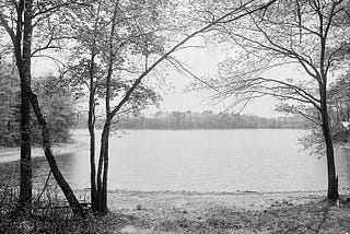 How Would Thoreau Have Responded to AI?