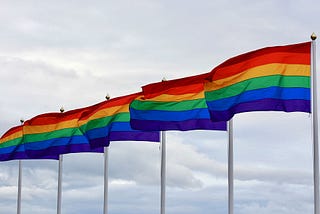 FOCO’s Lack of LGBTQ+ Community — What Does It Mean For Queer People?