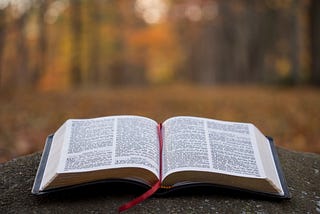How to Read Your Bible… And Actually Understand It