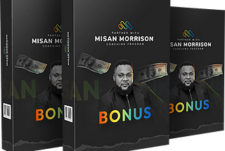 Introduction to Partnering with Misan