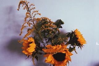 sunflowers rise against the sky