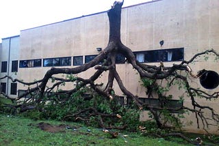 st. barnabas umc tree damage