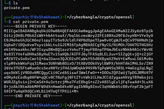 Demystifying RSA Encryption and Decryption with OpenSSL