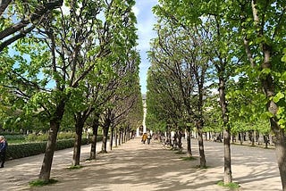 Two Years Living in Paris: I learned to enjoy taking a walk in Palais Royal