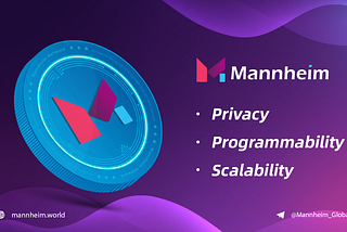 Mannheim: Programmable Public Chain with Privacy Protection
