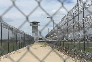 The Limits of Education in the Carceral State