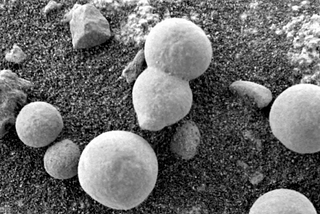 Scientists Believe These Photos Show Mushrooms on Mars — and Proof of Life
