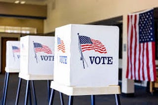 Why Don’t We Steal the Election?
