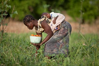 The CADRI Partnership engagement in Togo