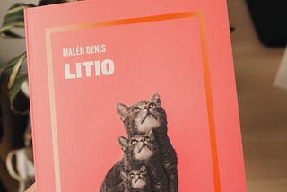 La importancia del cuidado, “Litio”, de Malén Denis