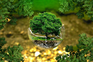 EcoAlvators : AI in Environmental Preservation