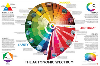 The Autonomic Nervous System is a spiral or a circle and not a ladder or a line, and why this…