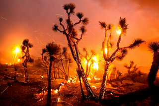 California fires: Visualising the spread