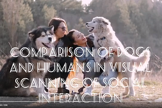 Comparison of dogs and humans in visual scanning of social interaction