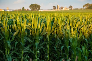 New Corporate Welfare Farm Bill Stuffed with Poison Pills