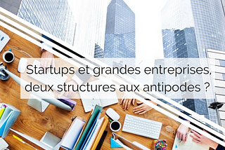 Startups et grandes entreprises, deux structures aux antipodes ?