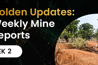 Golden Updates: Weekly Mine Reports — Week 2