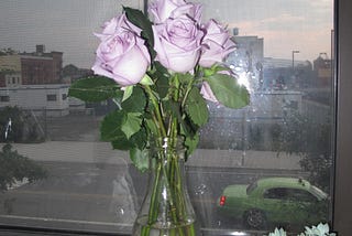 Lavender Roses