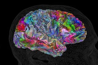 THE AMAZING BRAIN