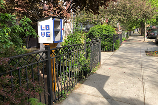 Building a Little Free Library in Brooklyn, NYC