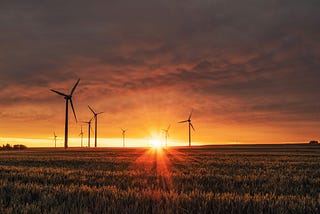 Venture Capital and Cleantech: Investing in a Sustainable Future