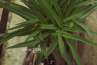 Bauchi Road Chronicles 6: Man, Know Thyself