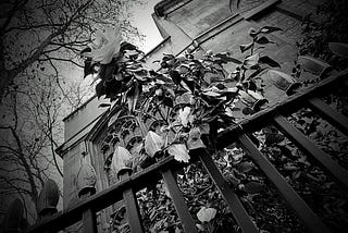 defeatism …